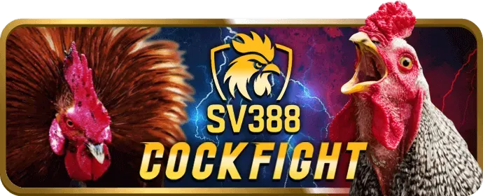 Khuyến mãi thể thao SM66 Code